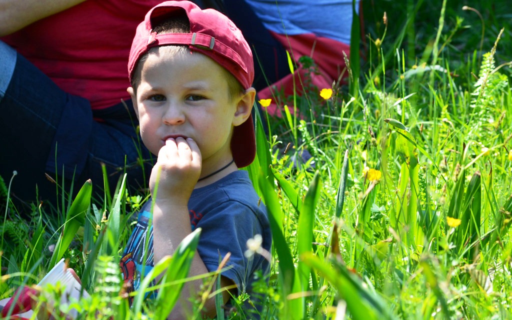 Preparate Traditionale